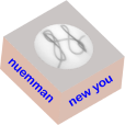 NueTrans Logo